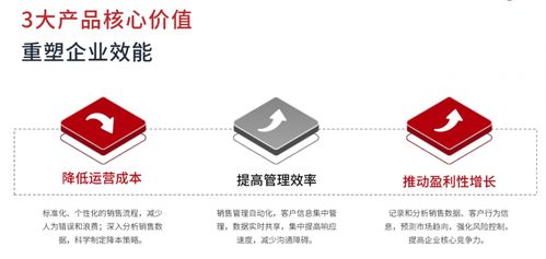 同心雁s erp 破解銷售型企業管理痛點的一體化解決方案